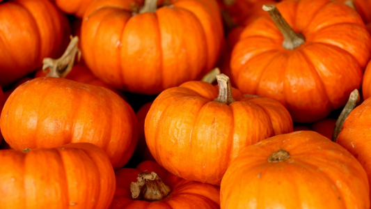 5 Family-Friendly Pumpkin Patches to Visit in Utah This Fall